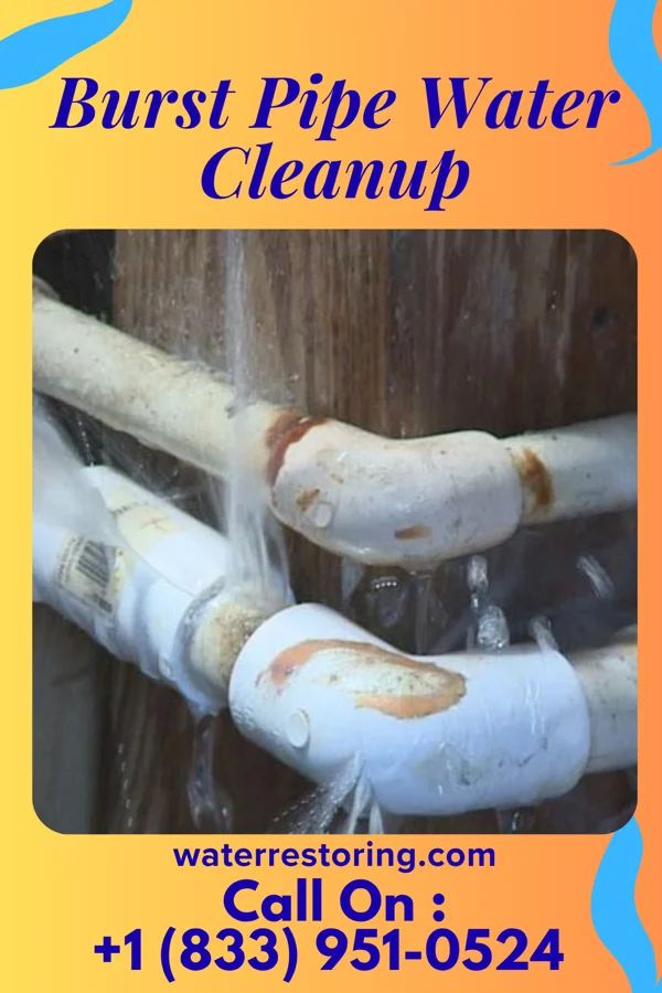 Burst Pipe Water Cleanup in Star, NC